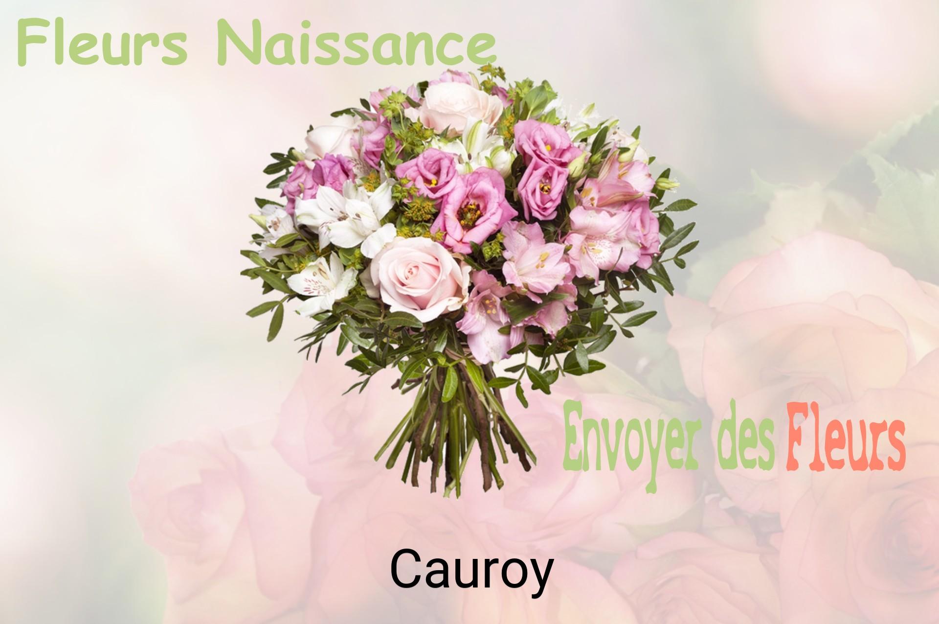 Bouquet de fleurs de naissance livré à Cauroy